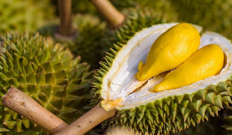 Sầu riêng