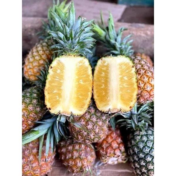 Hoà An Organic hướng dẫn cách bảo quản dứa để lâu không hỏng