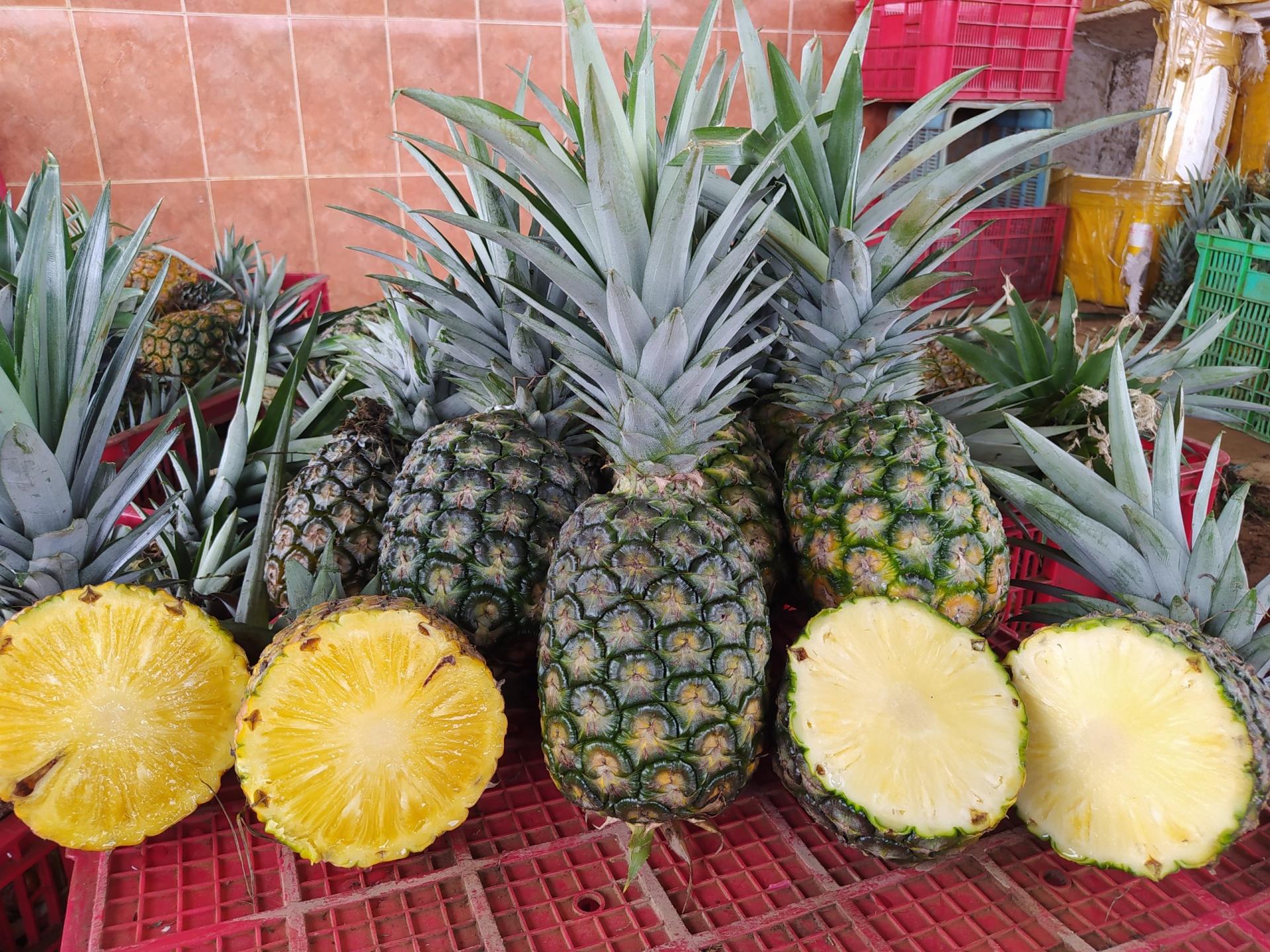 Thơm (dứa) mật MD2 Hoà An Organic
